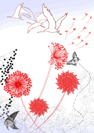 beautybird illustration