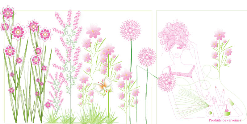 verveine illustration