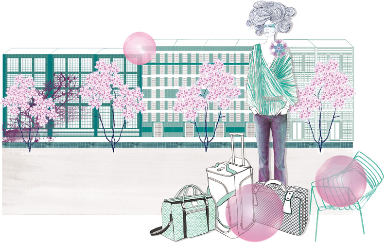 bag illustration